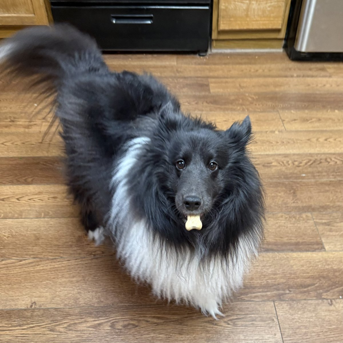 mimi's hooligan⁷ tweet media