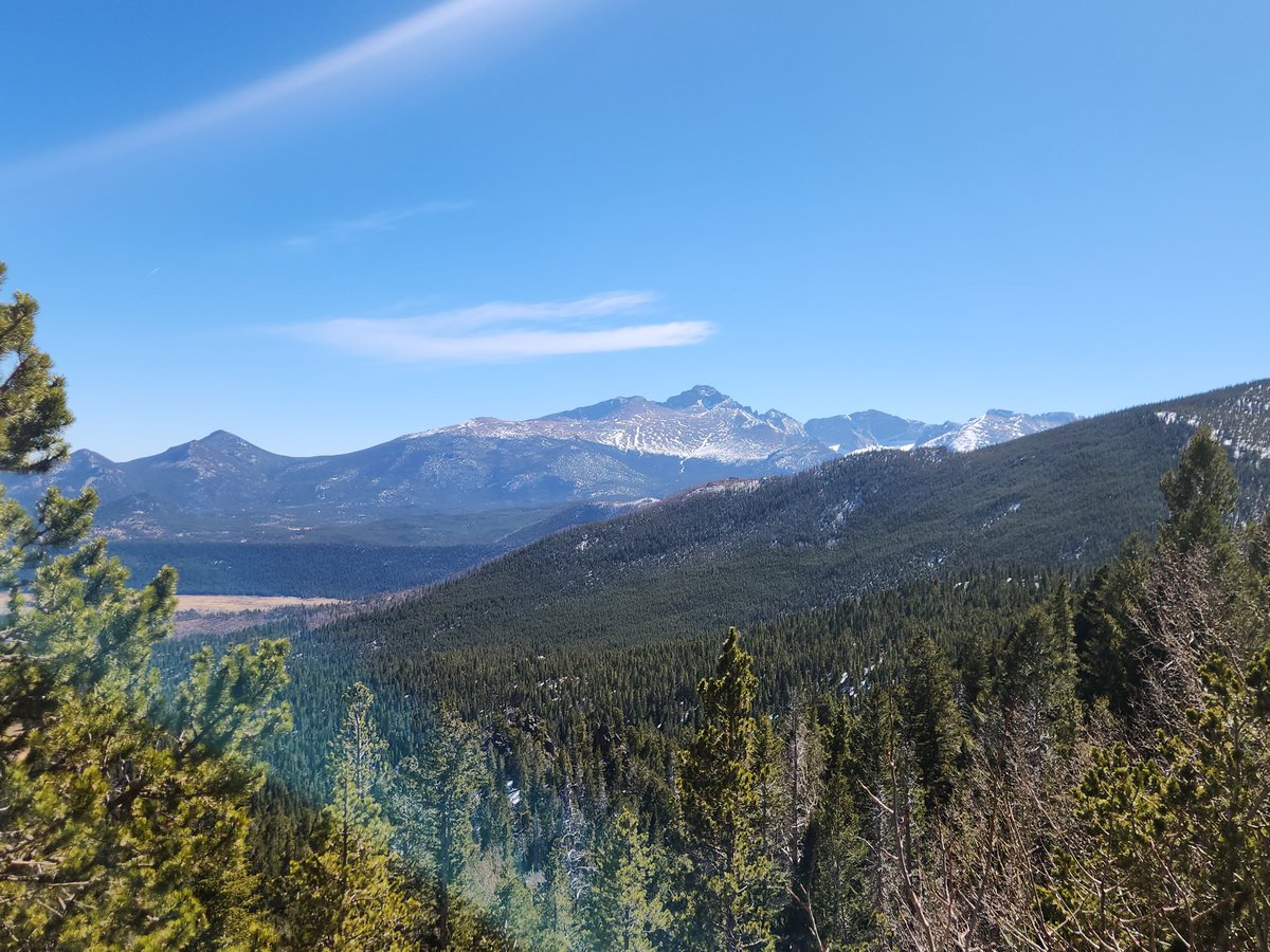 Strip Stumble tweet media