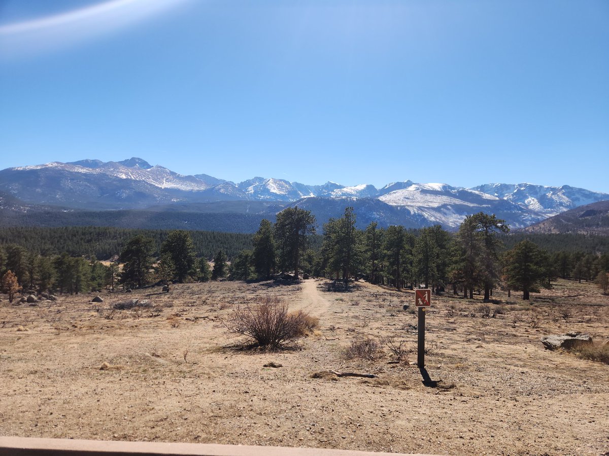 Strip Stumble tweet media