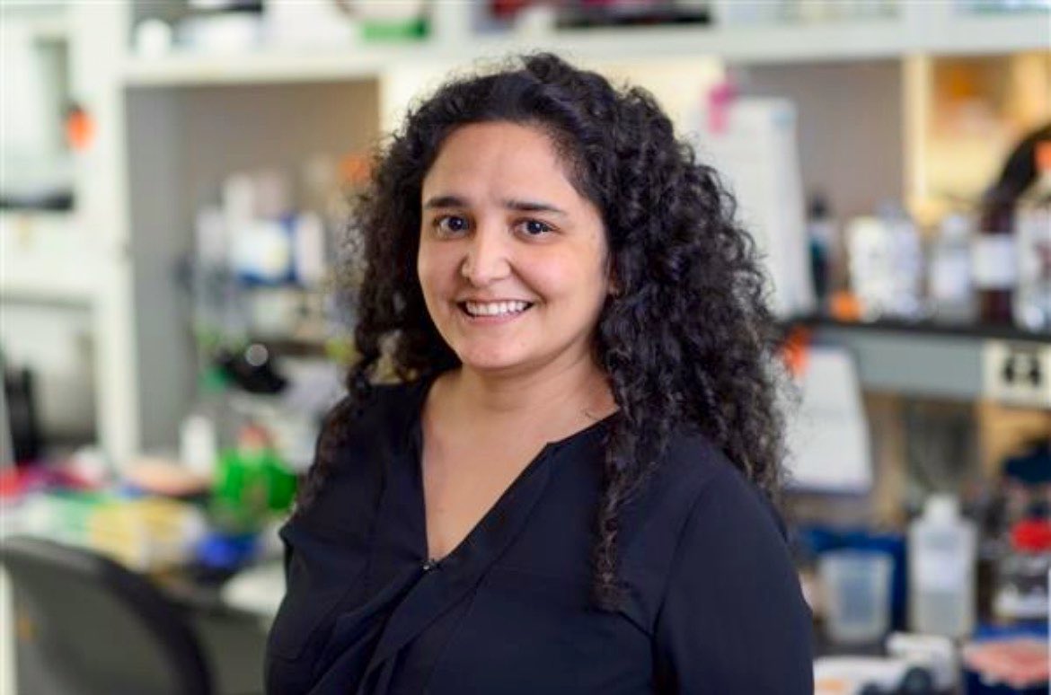 Samson W. Fine, MD tweet media