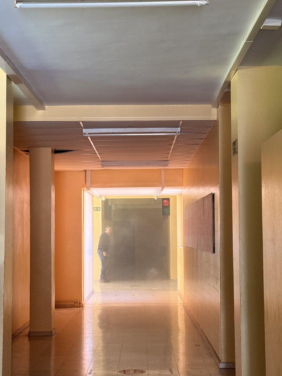 Paula Pérez Otí 🍏 tweet media