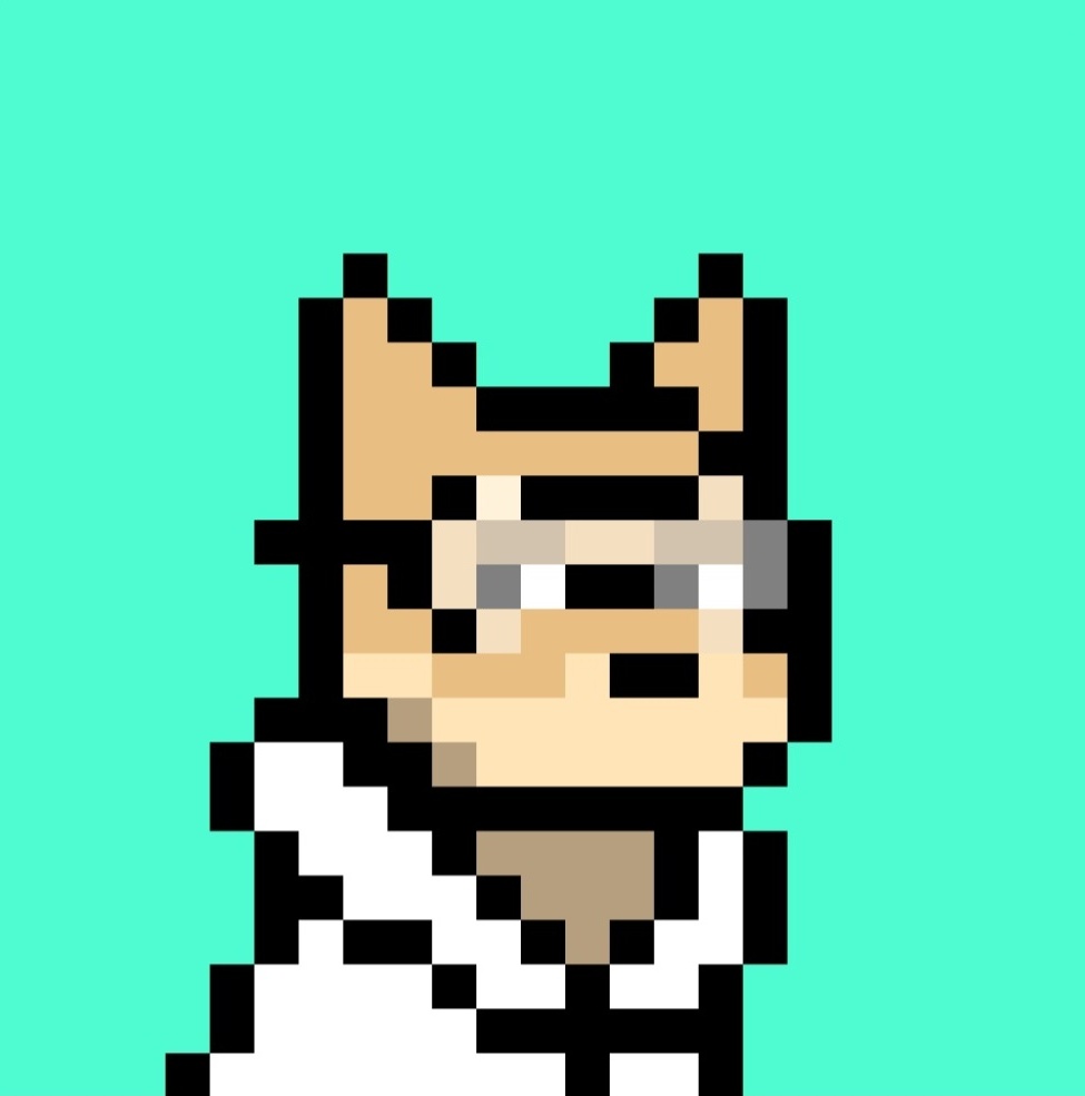 Pi Queen tweet media