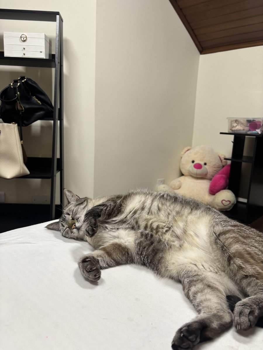 cami 🩷 tweet media