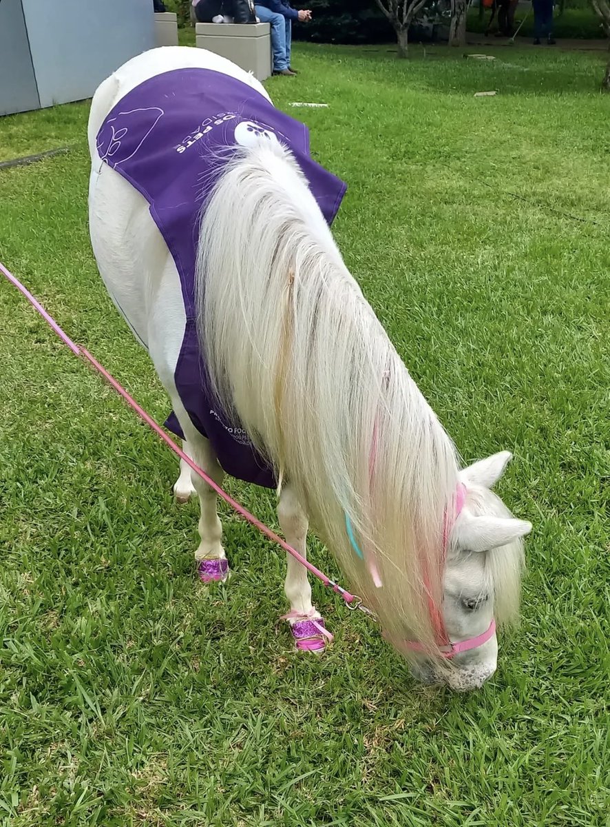 cami 🩷 tweet media