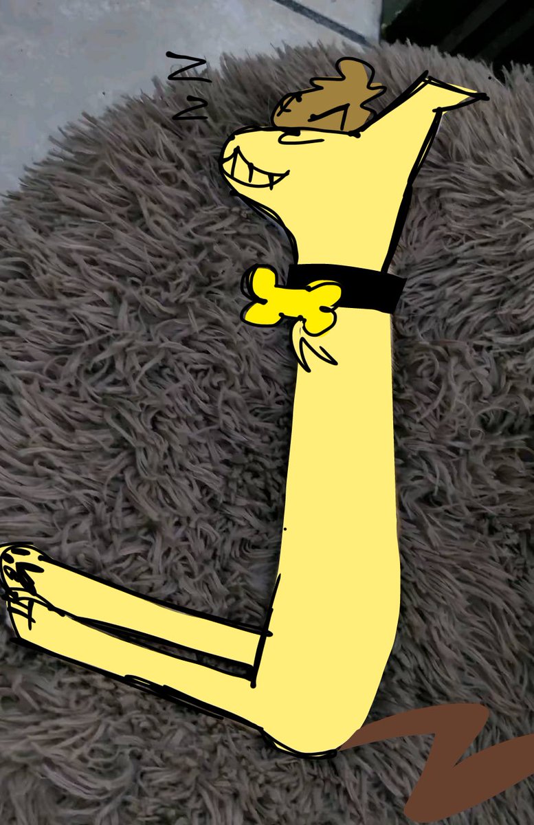 ꒰ঌ skid ໒꒱ tweet media