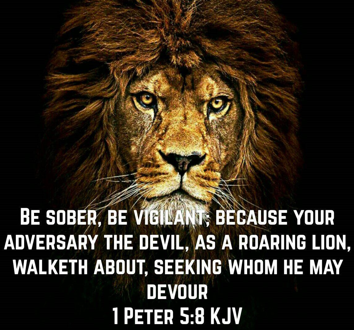 Todd Appel 🇵🇸 tweet media