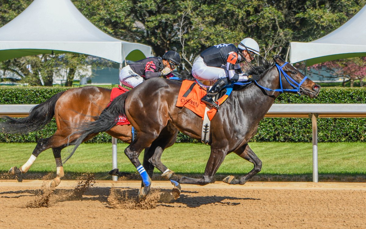 Robert Yates tweet media