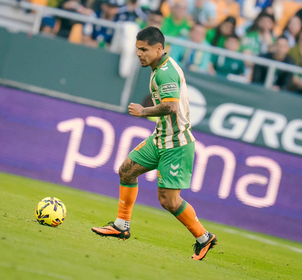 JHON PARAMO  tweet media