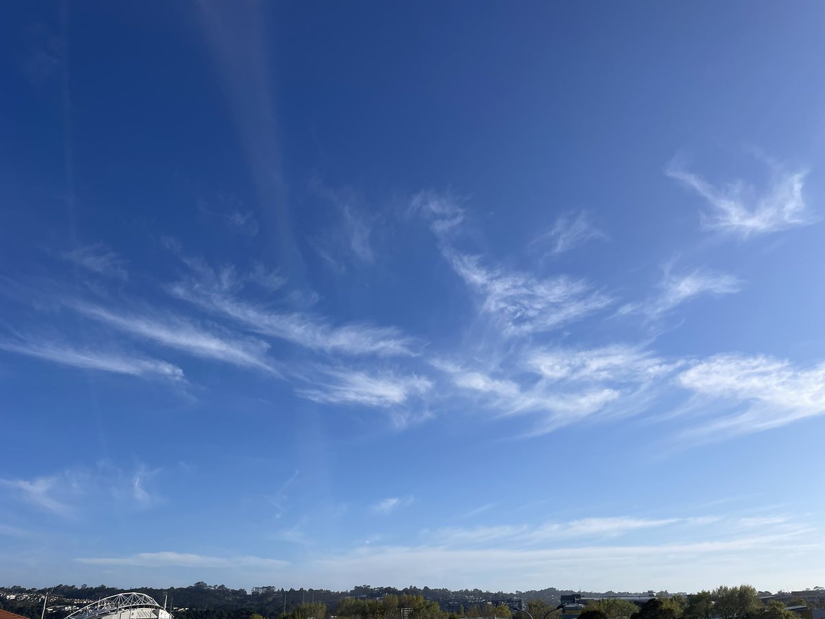 MCinNZ(맥/엠씨) tweet media