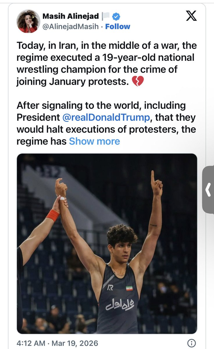 paintchipsfortheleft tweet media