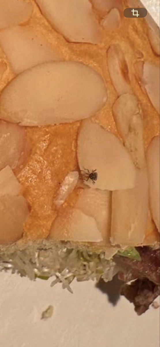 cmorado's tweet photo. @ToksMx una muy mala experiencia en la sucursal de Tlalpan y esquina con Miguel Ángel de Quevedo ayer por la noche (20:30 hrs.) ya que nos salió una cucaracha 🪳 en el alimento @DeSalubridad @Profeco https://t.co/hssjm53LVf