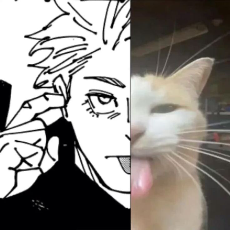 pia 𓍼 tweet media