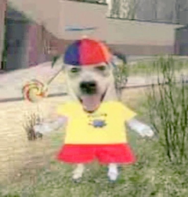 Cristalde tweet media