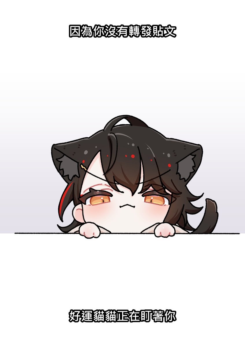 Retweet this cat

or let it stare at you
#Akurylic