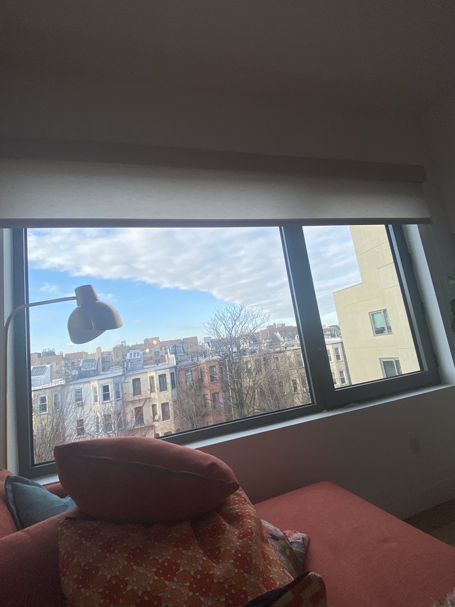 Dr. Naomi Wolf. 8 NYT Bestsellers. DPhil, Poetry. tweet media