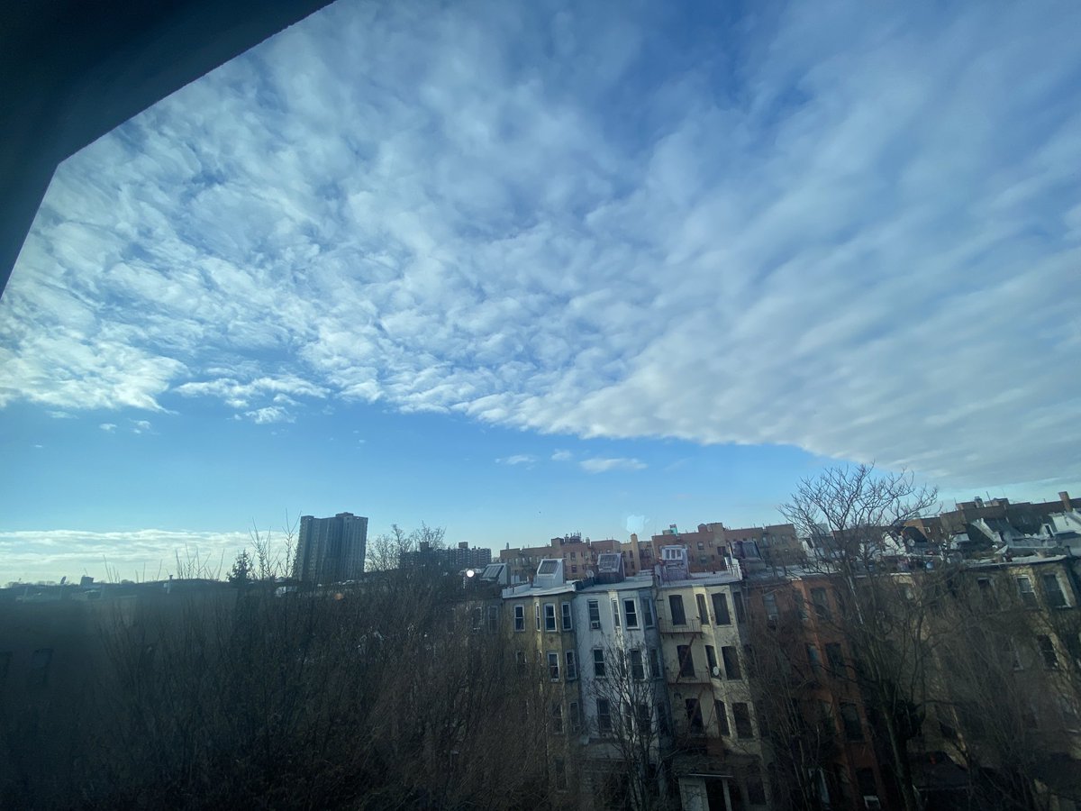 Dr. Naomi Wolf. 8 NYT Bestsellers. DPhil, Poetry. tweet media