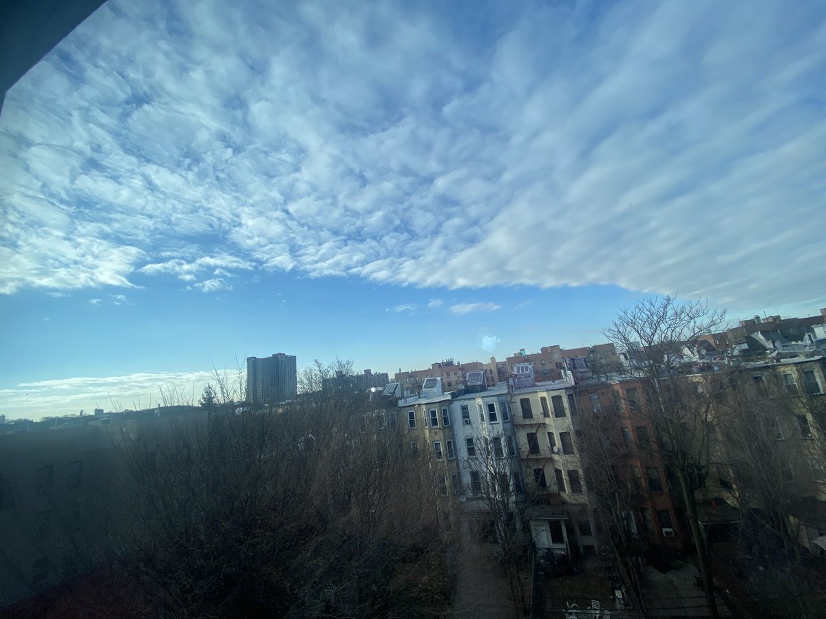 Dr. Naomi Wolf. 8 NYT Bestsellers. DPhil, Poetry. tweet media