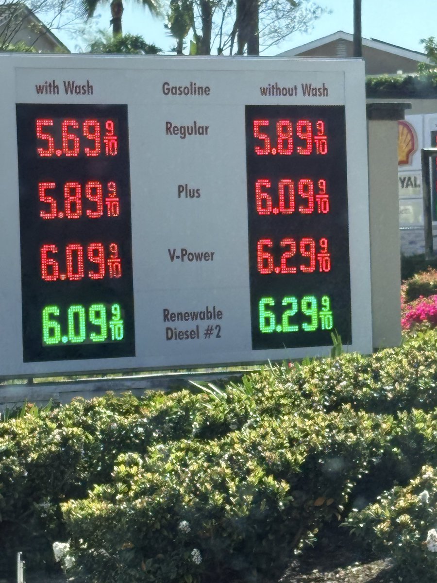 Digital Daisy tweet media