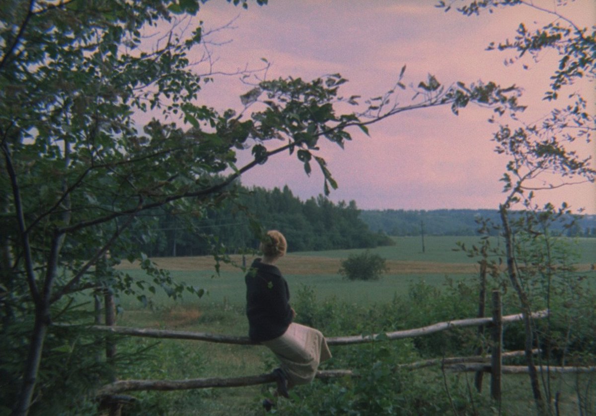 🎬Sînemaya Serbixwe tweet media