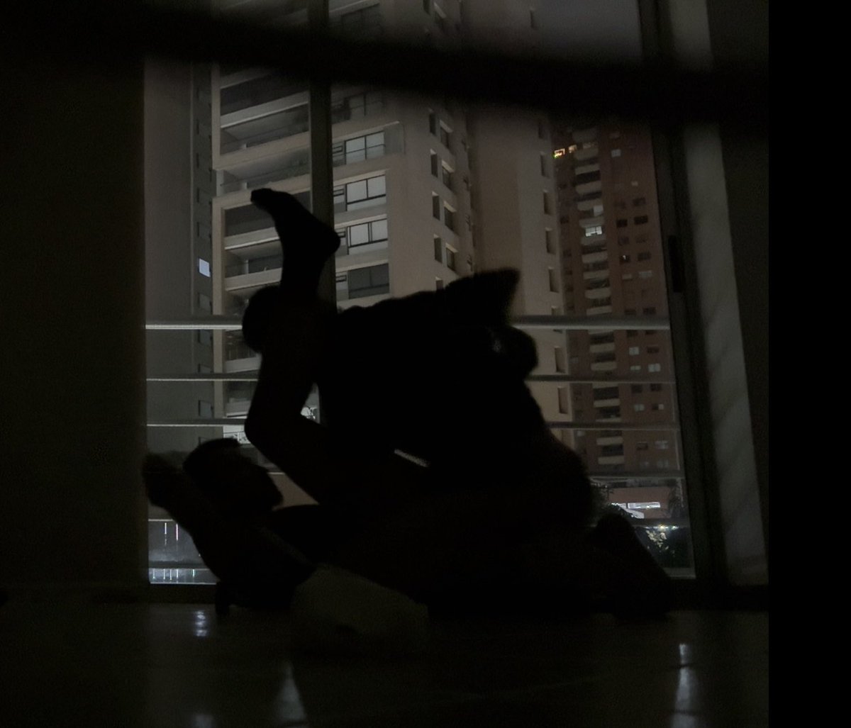 Alejandro Holguín tweet media