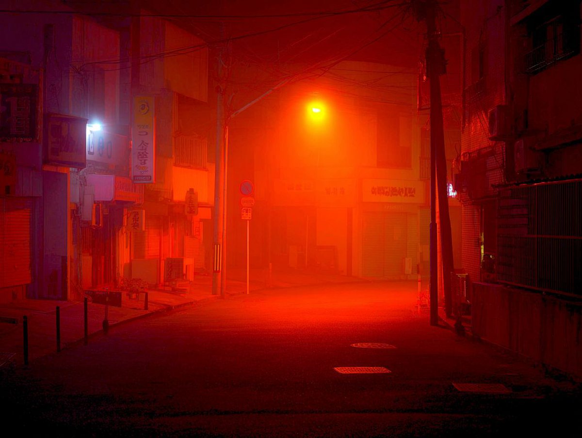 𝘴𝘵𝘢𝘳𝘭𝘪𝘨𝘩𝘵 ✨ tweet media