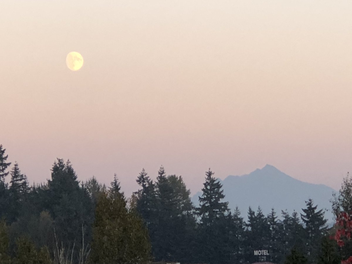 Theodore Landgraf tweet media