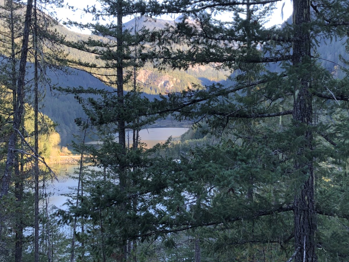 Theodore Landgraf tweet media