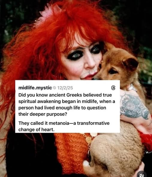 SubRosa )✿( Magick @subrosamagick.bsky.social tweet media