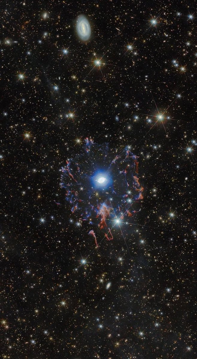 Black Hole tweet media