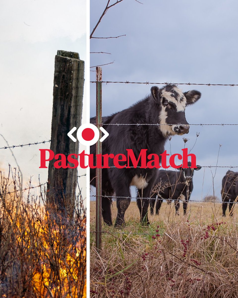 South Dakota Corn tweet media