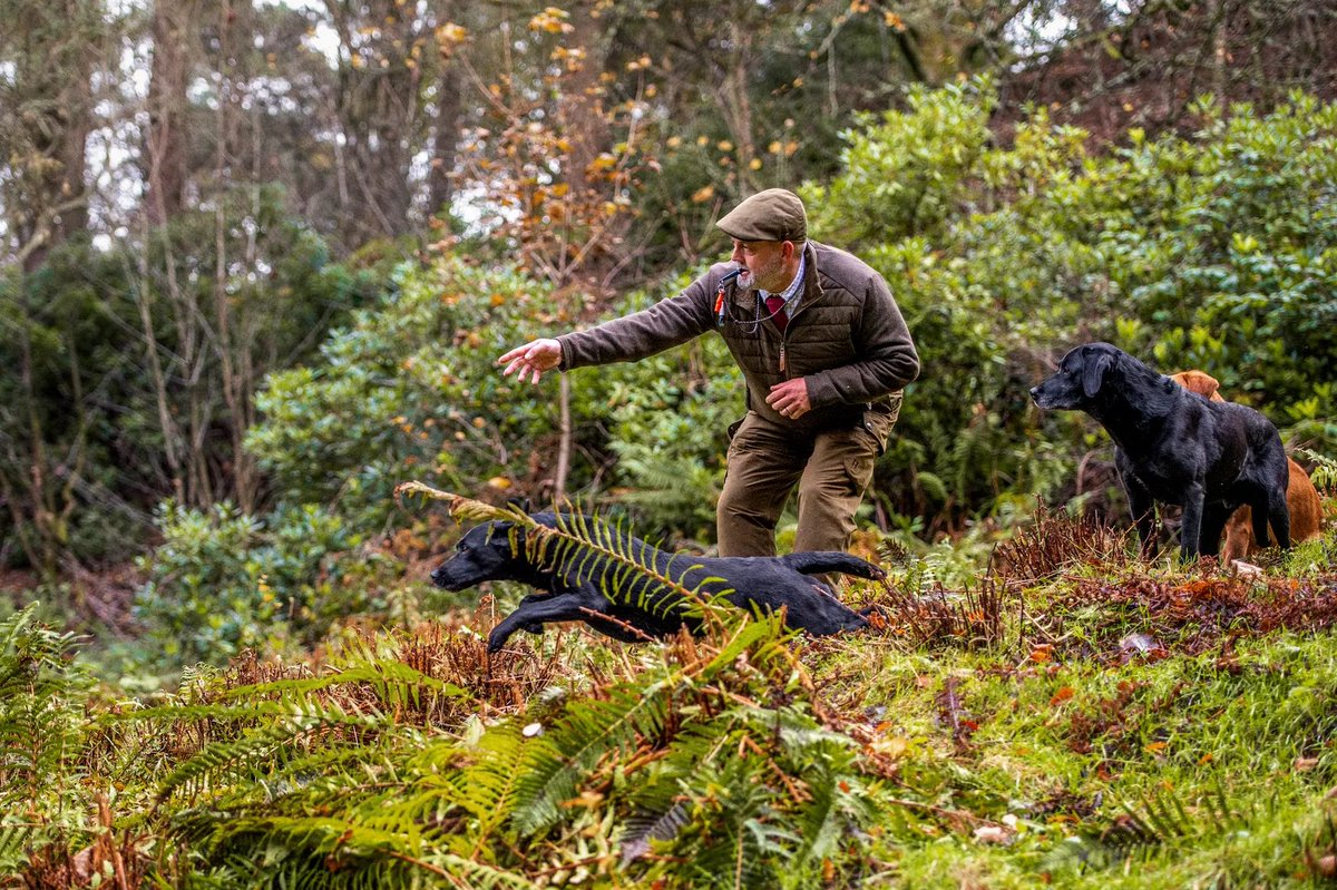 Jason Mayhew tweet media