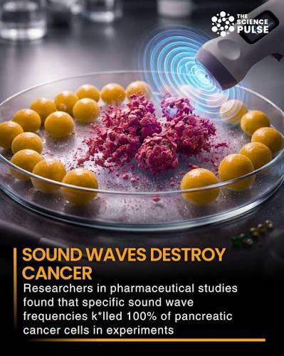 David Nino Rodriguez tweet media