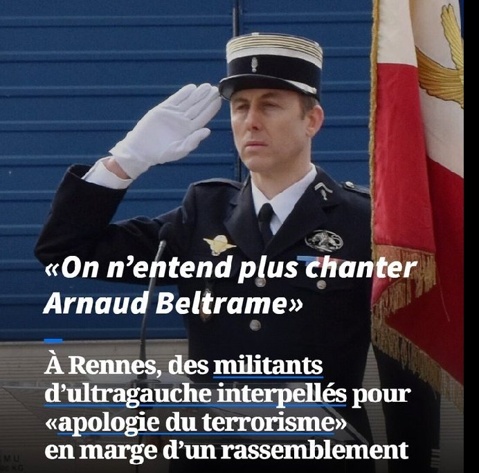 hamstervolan tweet media