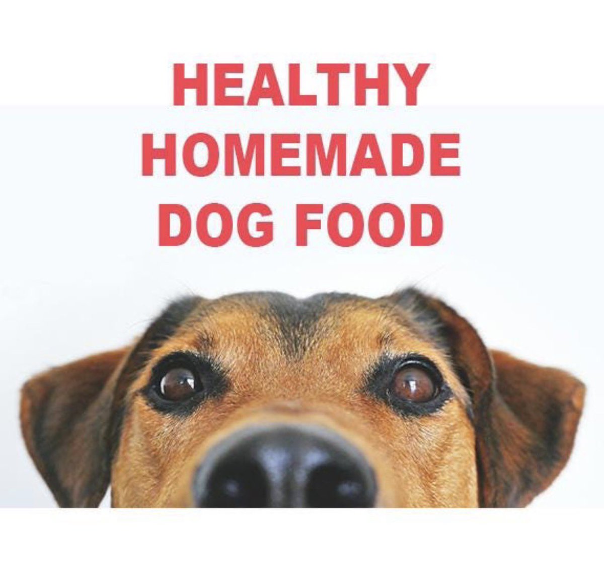 Homemade healthy Dog Food booklet. 
etsy.com/listing/432555…
#pets #dogs #dogfood