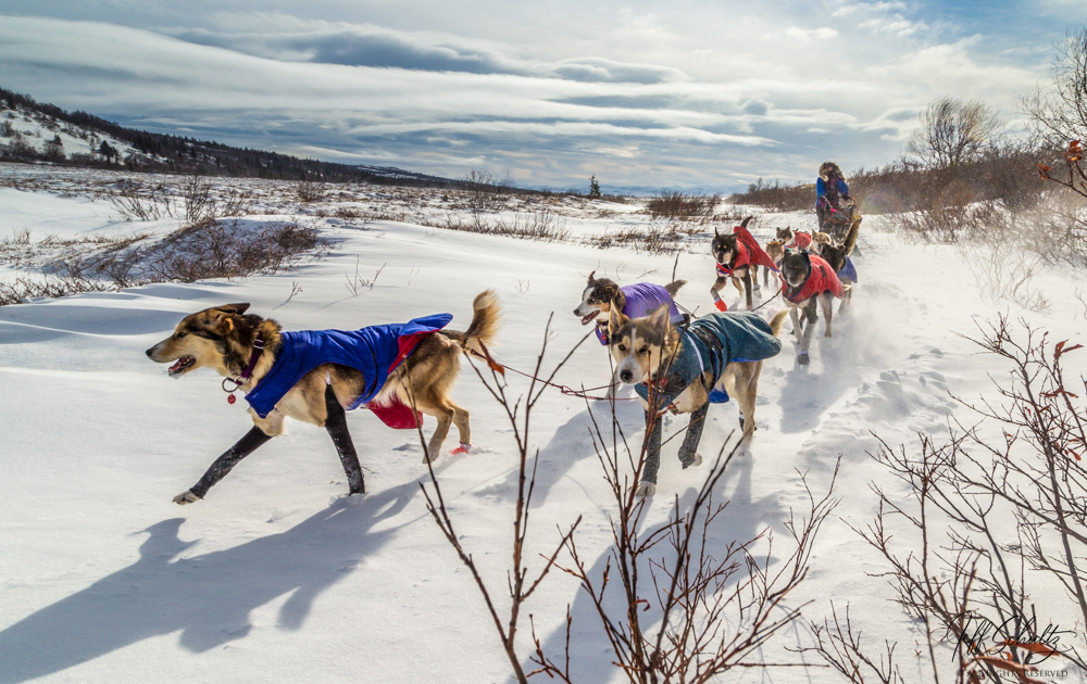 Jeff Schultz tweet media