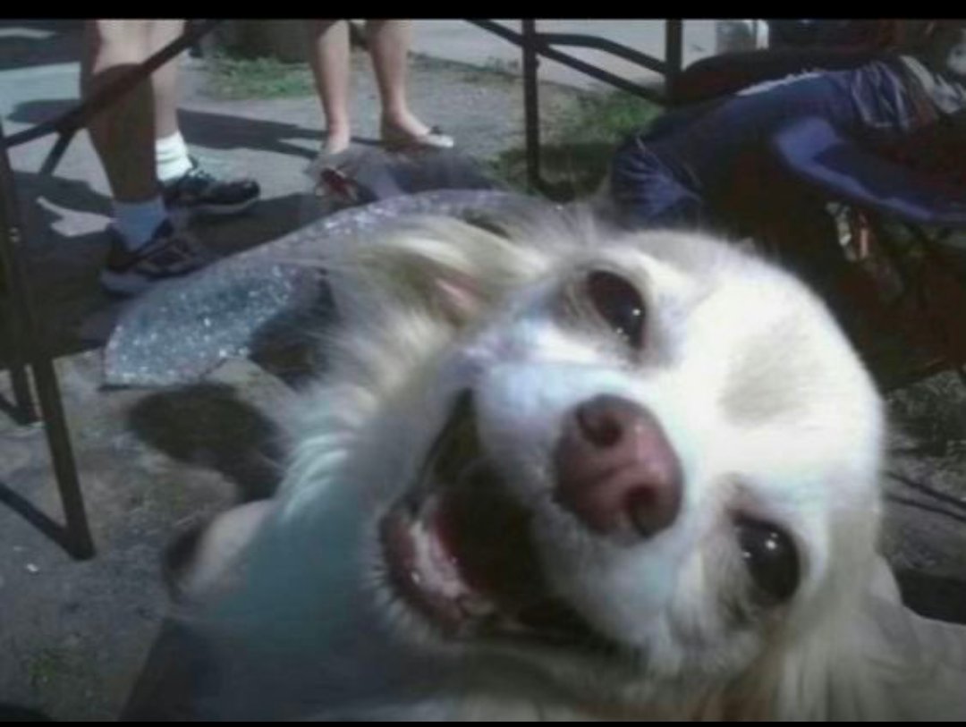 diamønd tweet media