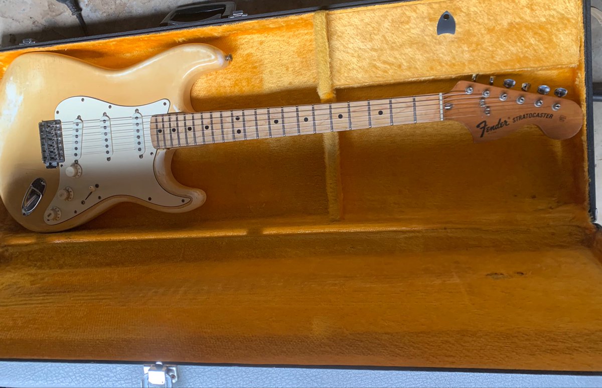 gedification tweet media