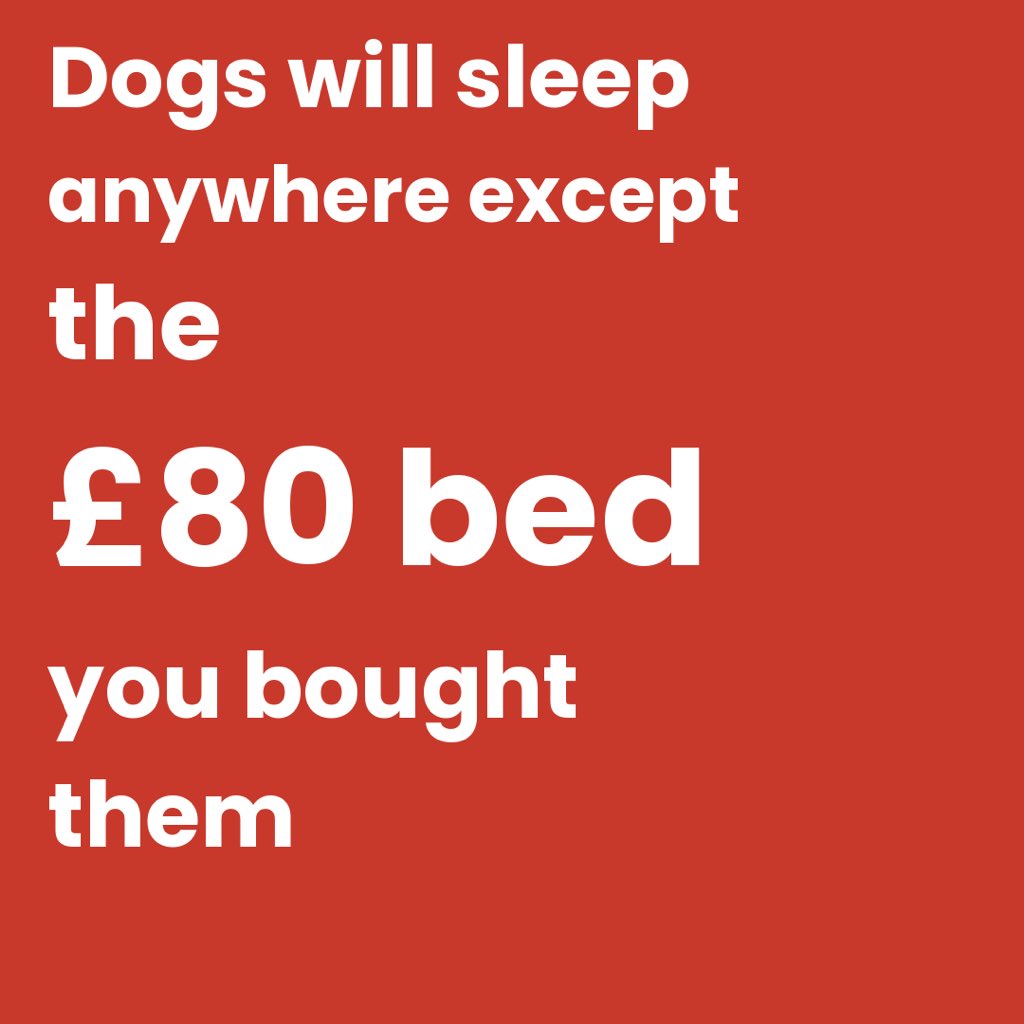 Phil Sledge tweet media