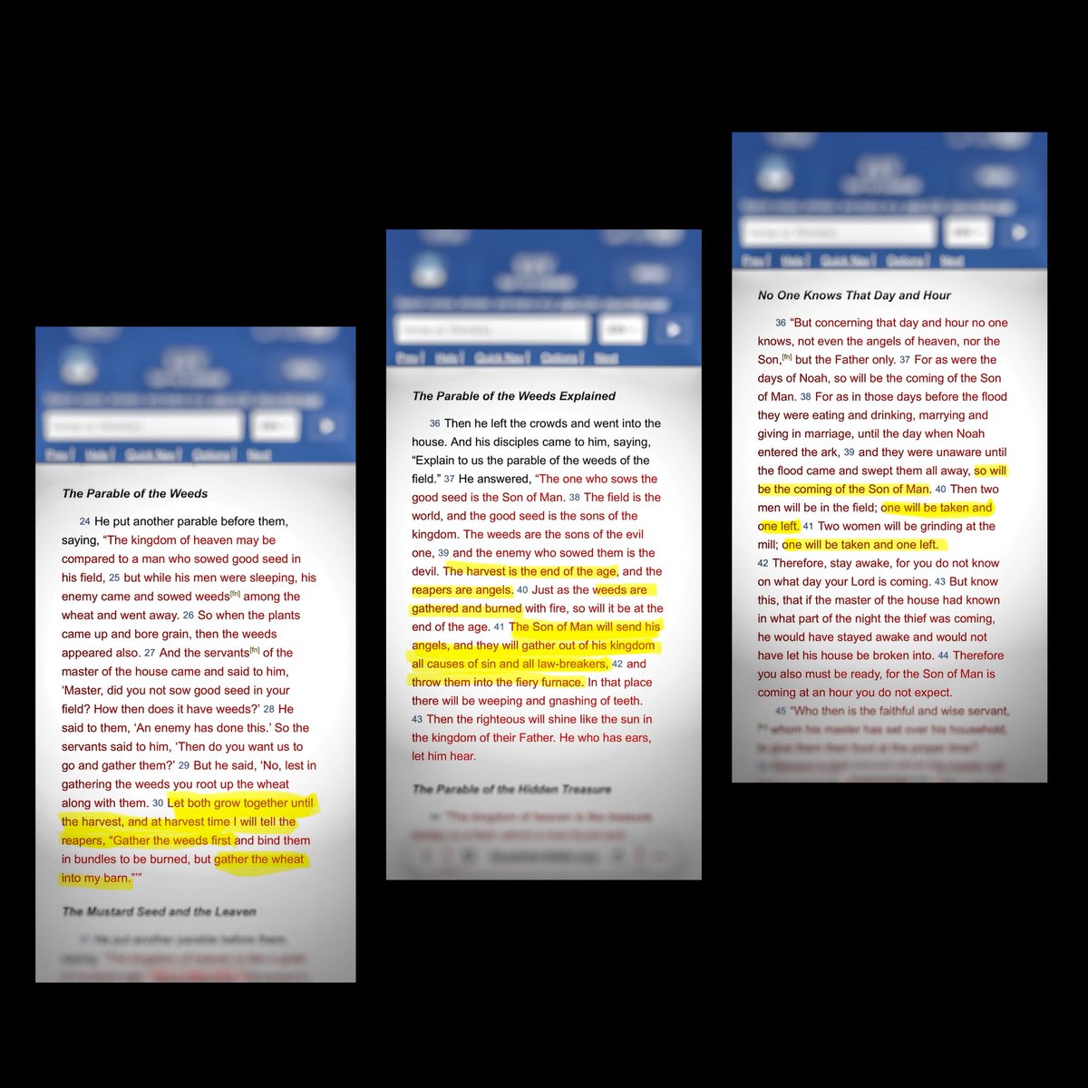 A.D. Whitman tweet media