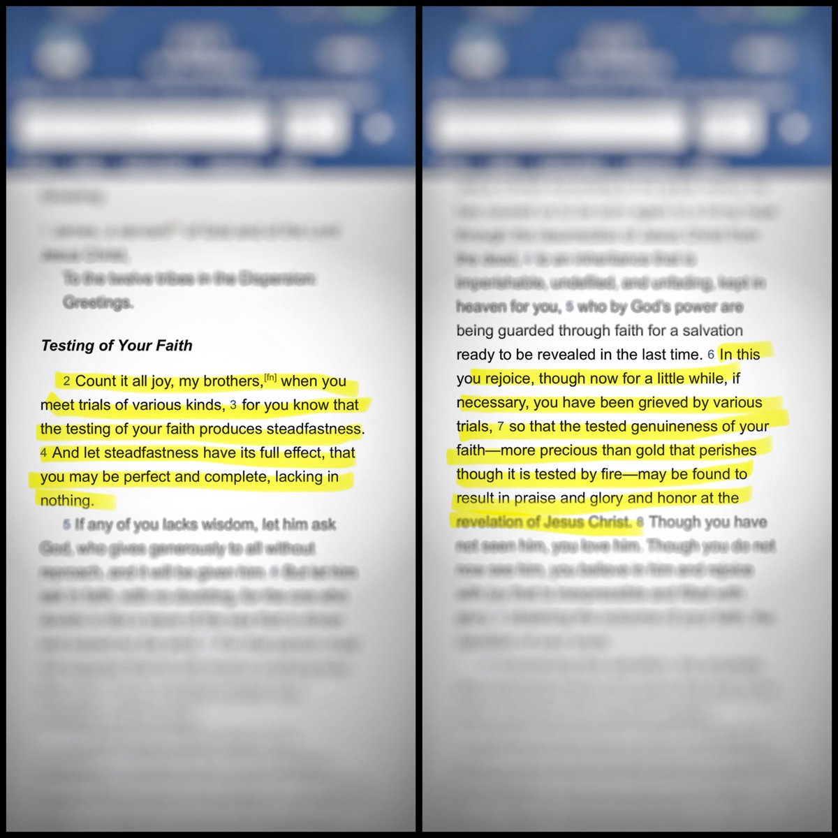 A.D. Whitman tweet media