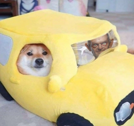 GRELF👴🏽 tweet media