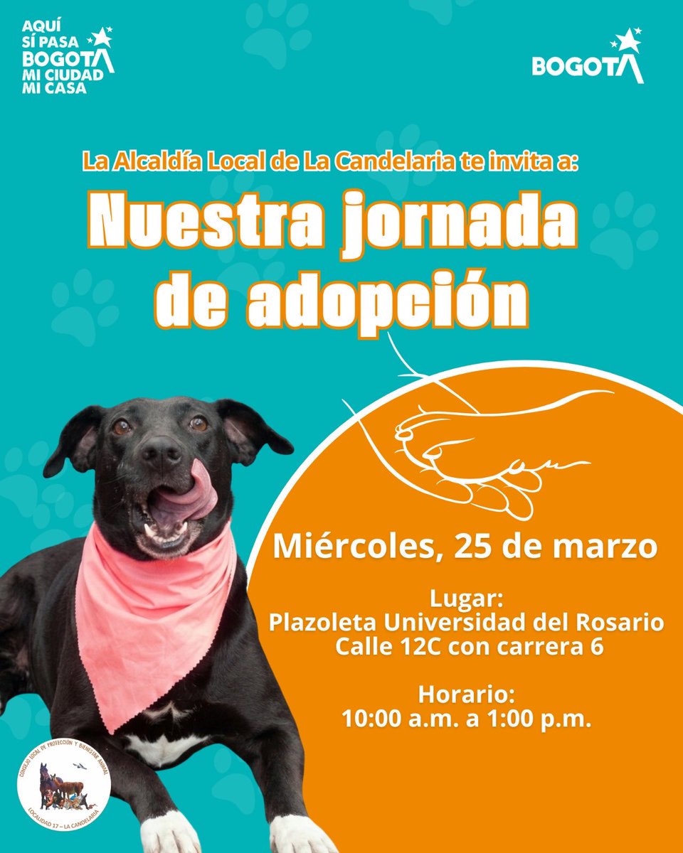 Alcaldía Local de La Candelaria tweet media