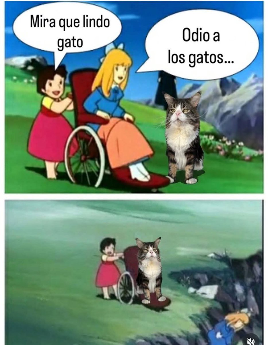ilebe 🏃♀️🐈🐾🐕 tweet media