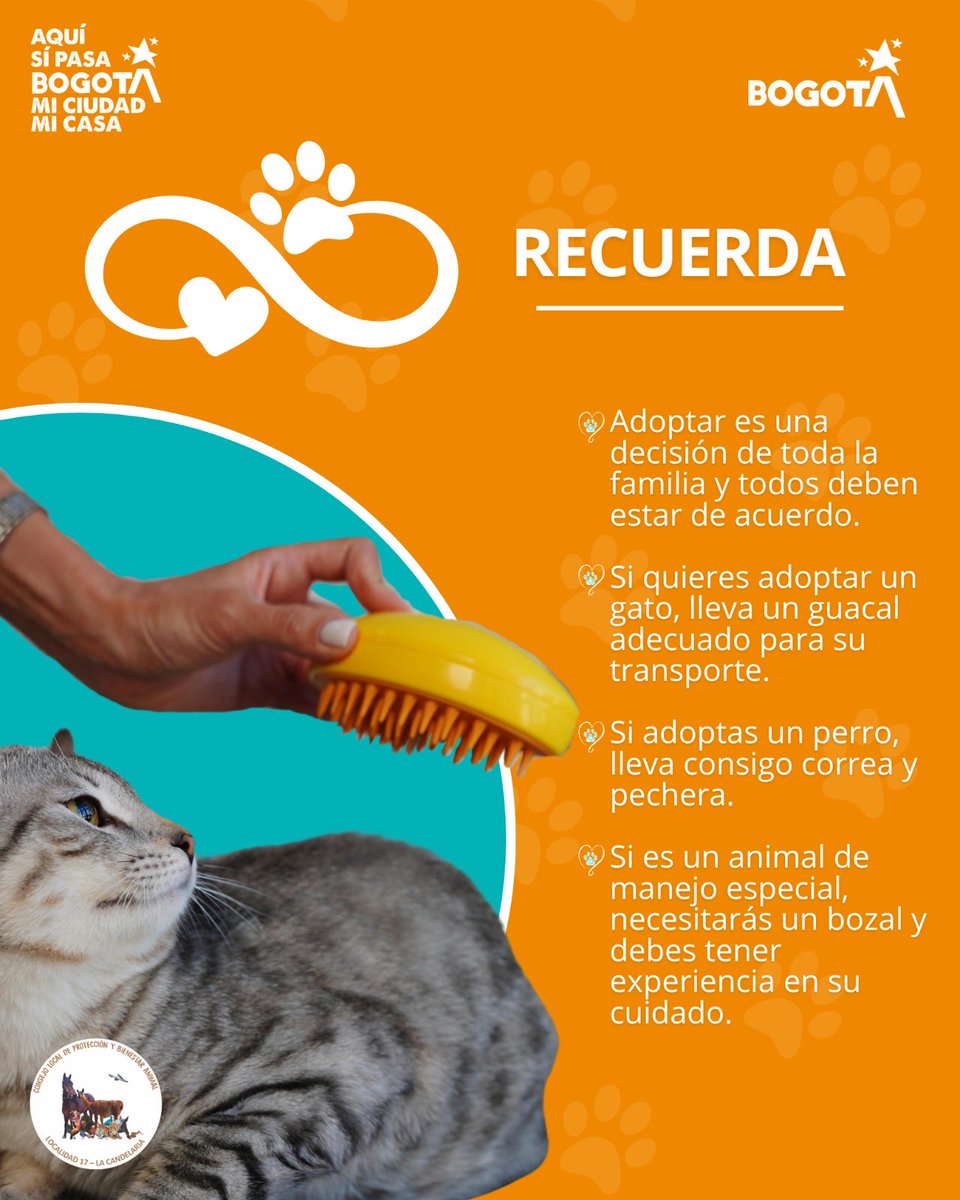 Alcaldía Local de La Candelaria tweet media