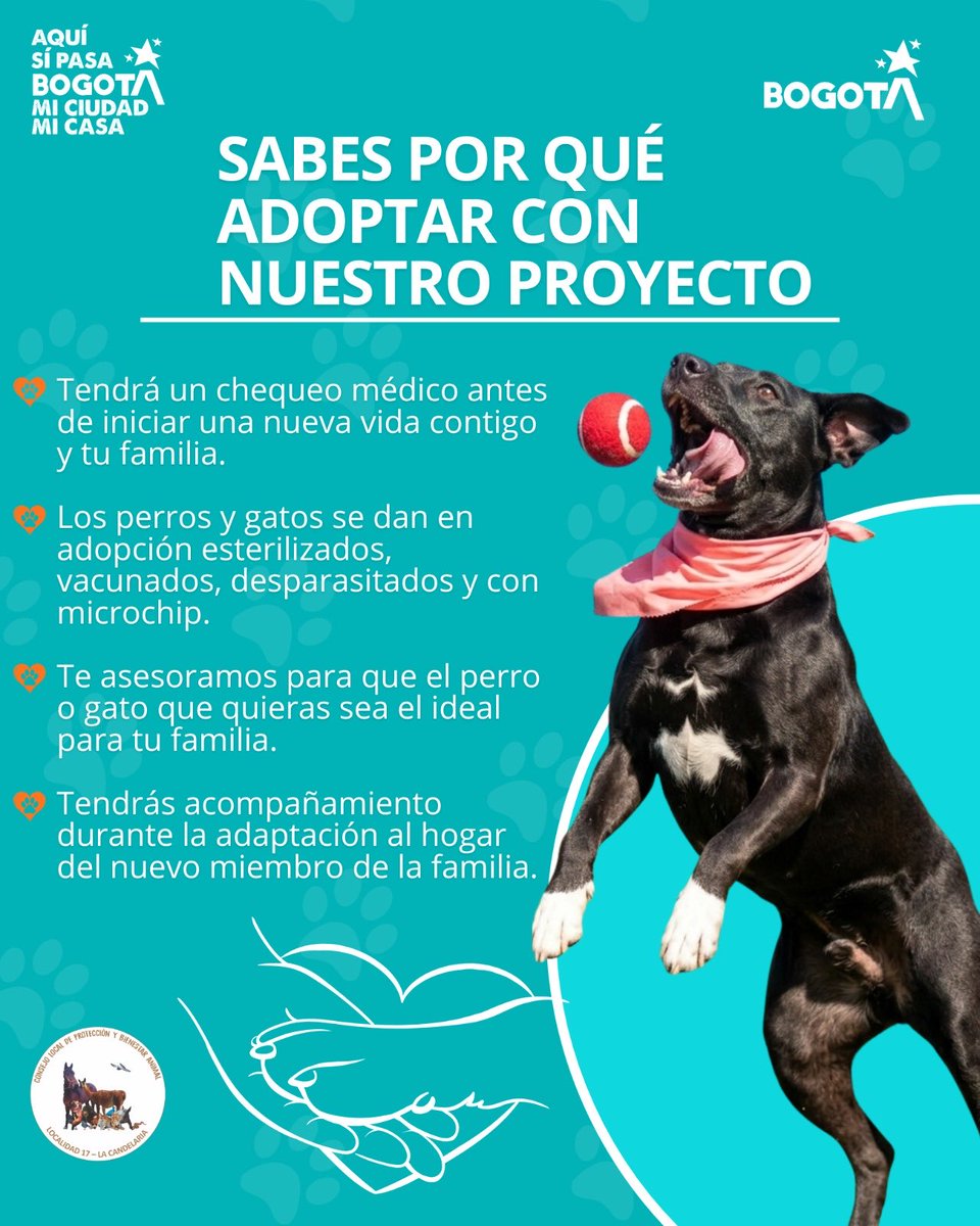 Alcaldía Local de La Candelaria tweet media