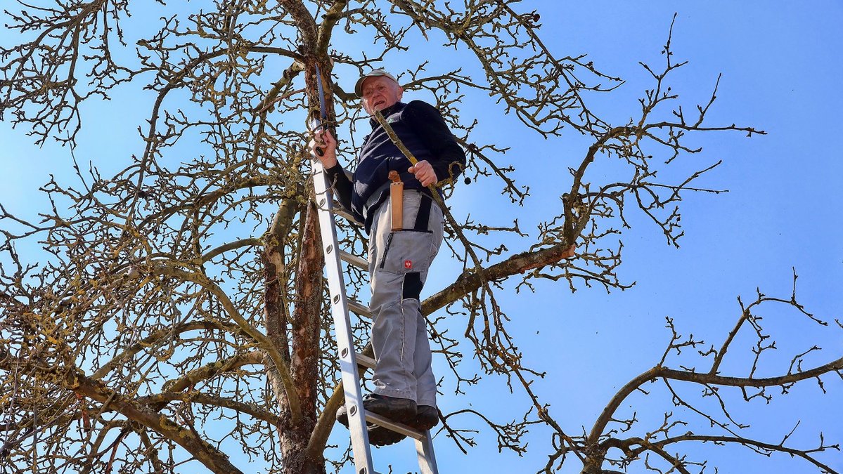 mz-web.de tweet media