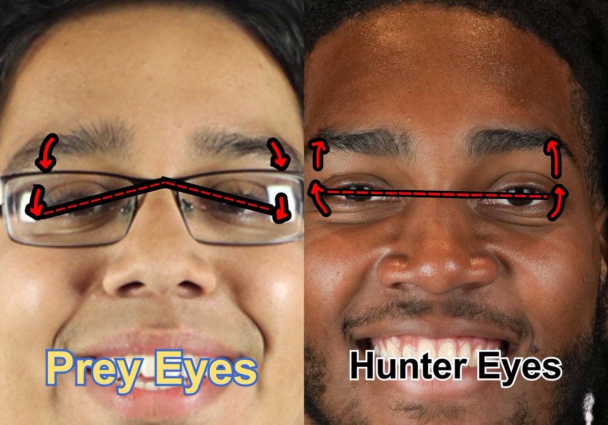 Barstool Vandy tweet media