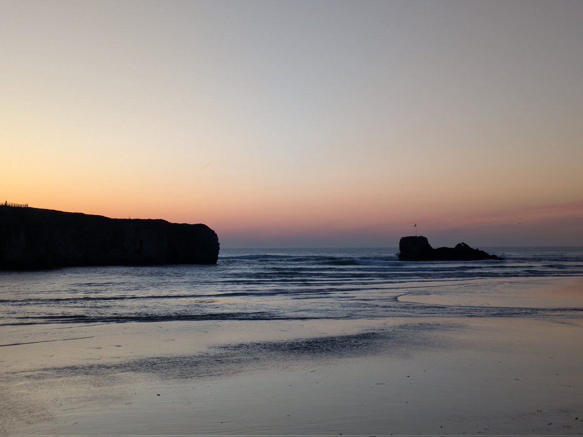 Lea 💚 tweet media