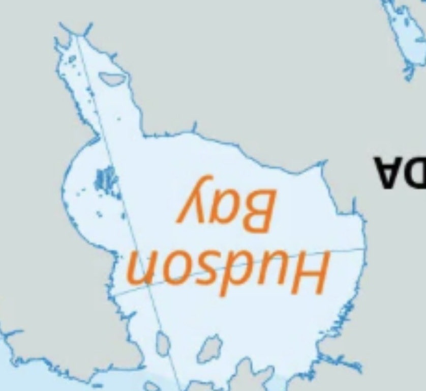 𝙥𝙞𝙡𝙡𝙖𝙧🌙🐇 𐐑𐐮𐑊𐑉 tweet media