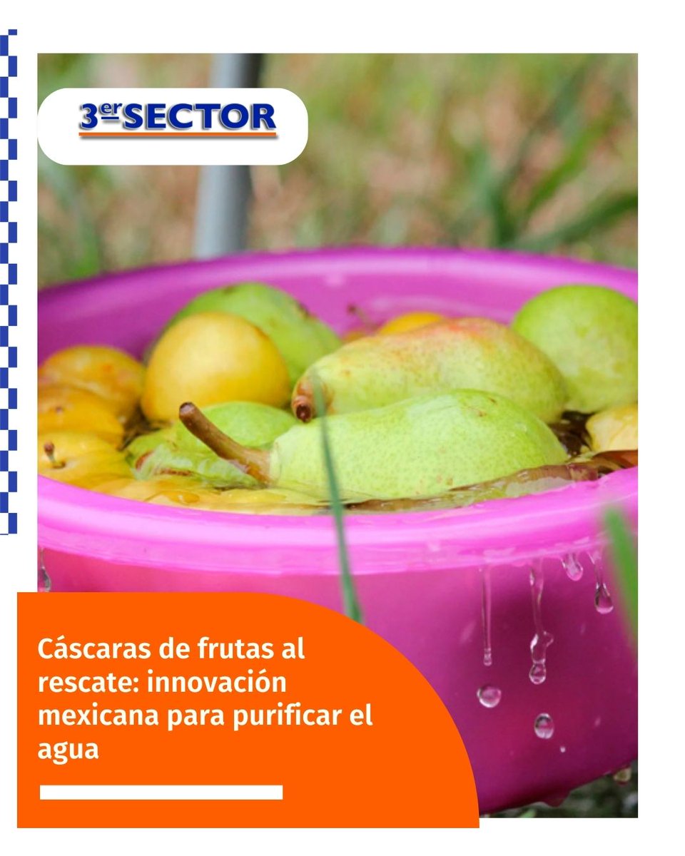 Revista 3er Sector tweet media